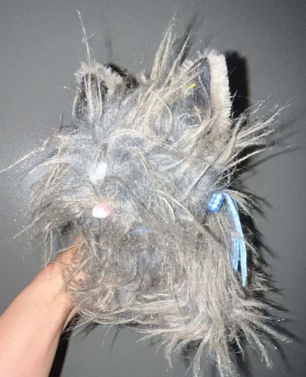 Rubies Costume Co. The Wizard of Oz Toto Dog Plush Toy